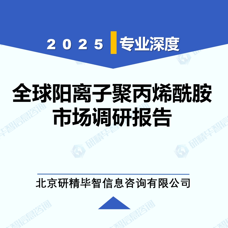 2025年全球與中國陽離子聚丙烯酰胺市場深度調研報告：行業趨勢與投資前景分析